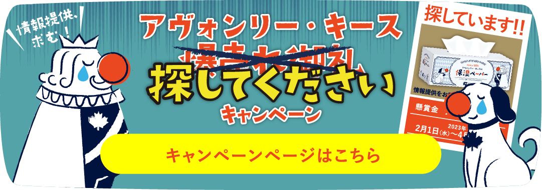 アヴォンリー・キースを探してください！キャンペーン